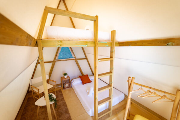 interior-lincetur-1-scaled (1)