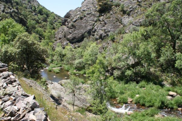 paisaje-lincetur-2 (1)