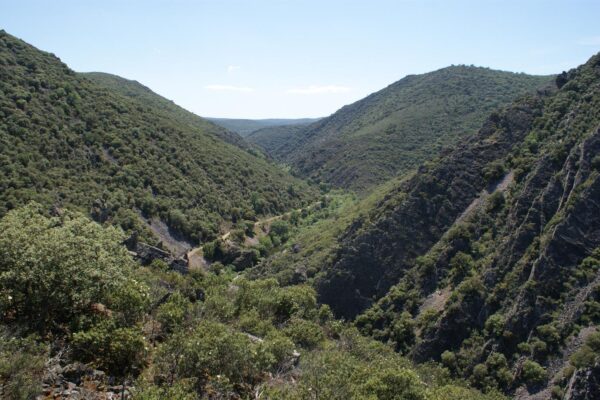 paisaje-lincetur-3 (1)
