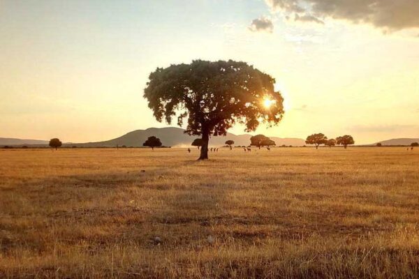 parque-nacional-de-cabanero (1)